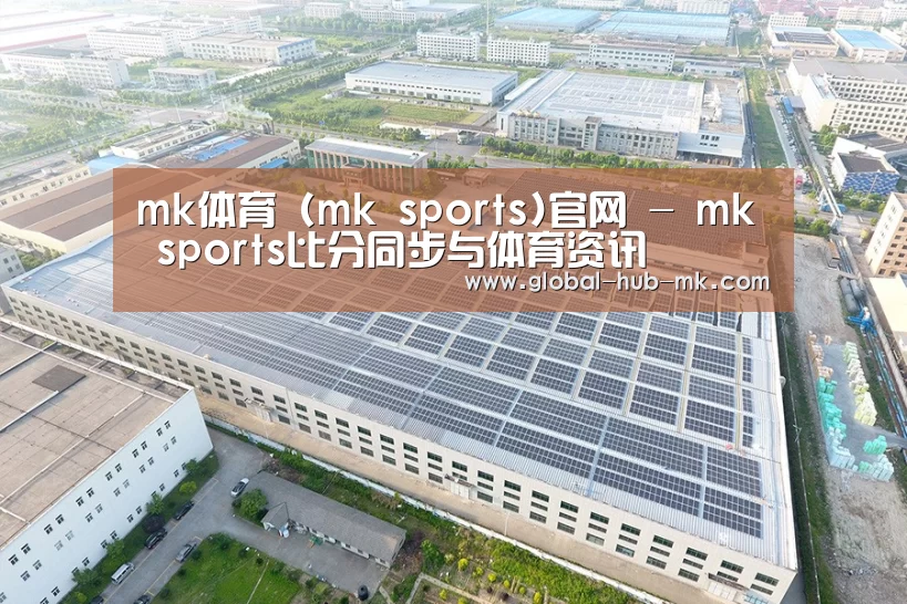 案例展示二
