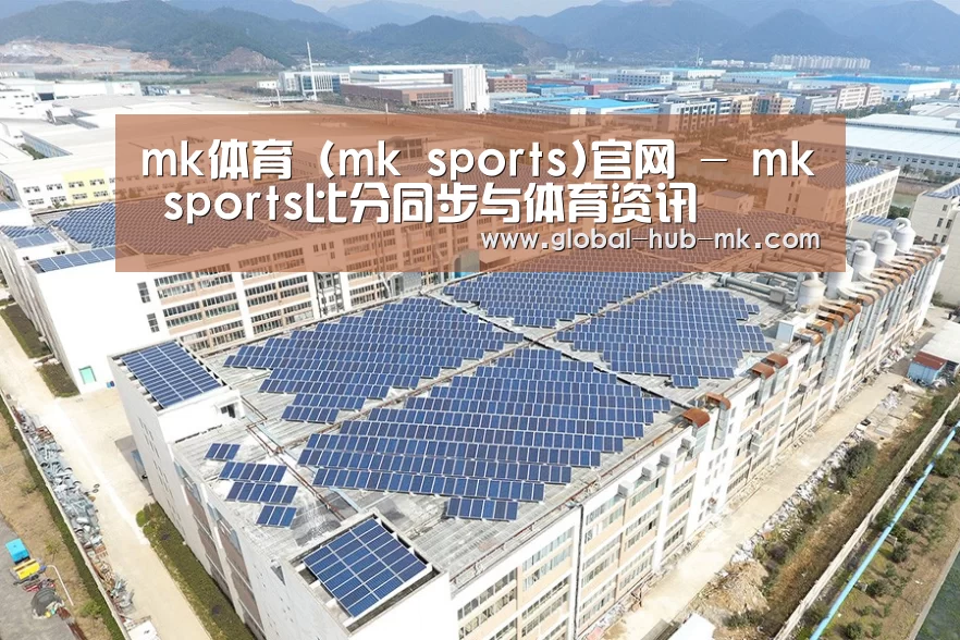 案例展示三