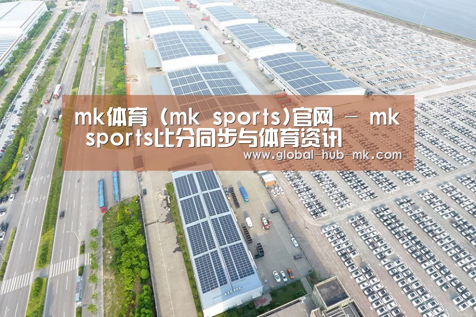 案例展示一