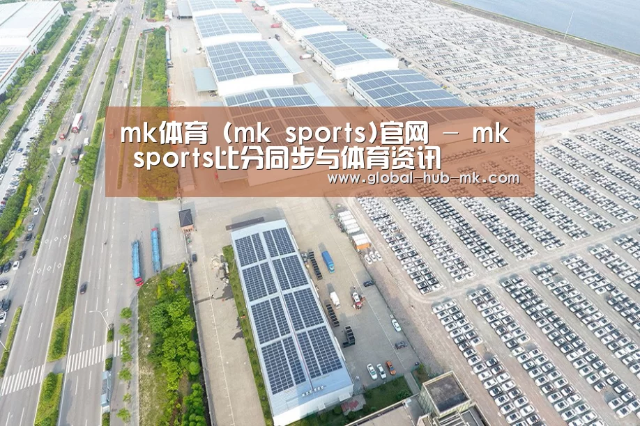 案例展示一