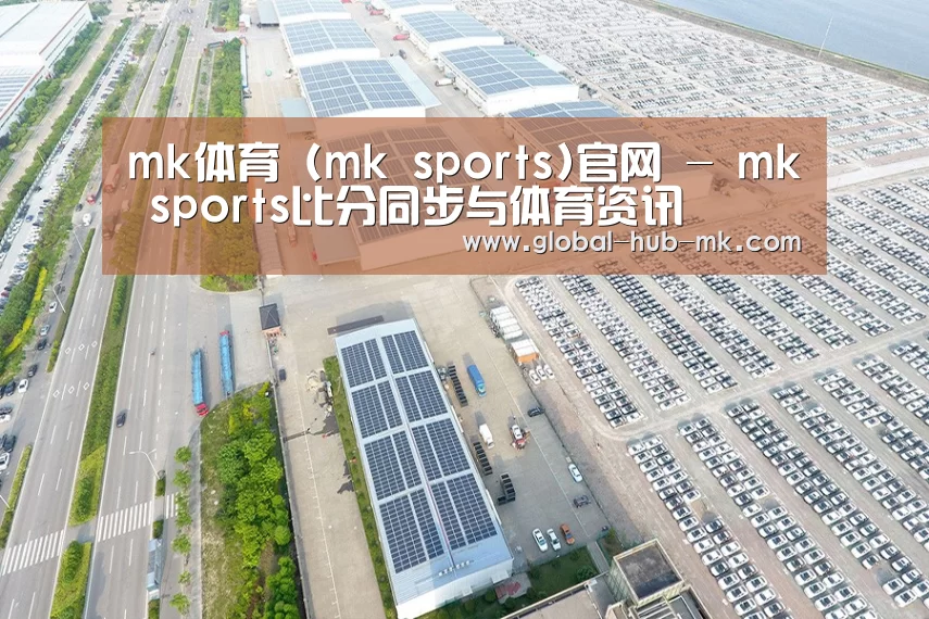 案例展示三