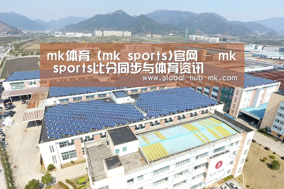 案例展示三