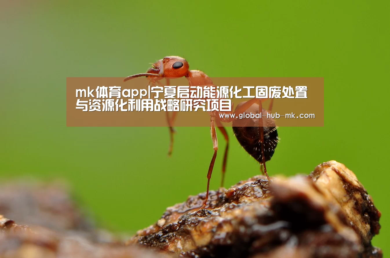 mk体育app|宁夏启动能源化工固废处置