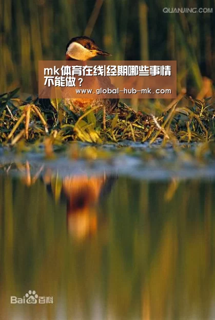 mk体育在线|经期哪些事情不能做?(图2) mk体育备用